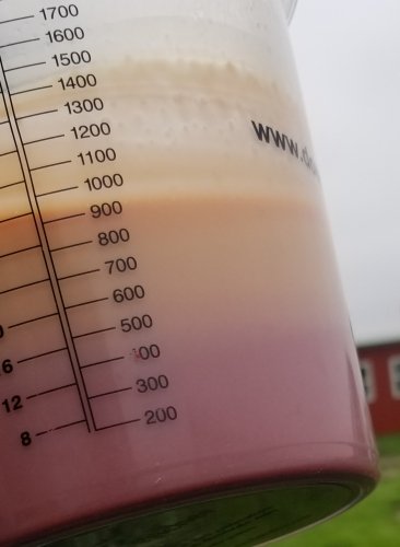Strawberry Milk