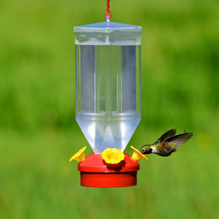Perky Pet Hummingbird Lantern Feeder : 18oz