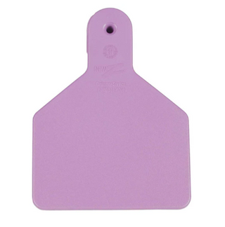 Z Tag No Snag Calf Tags: Blank- Pack of 100 Purple