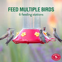 Perky Pet Hummingbird Glass Feeder : 30oz