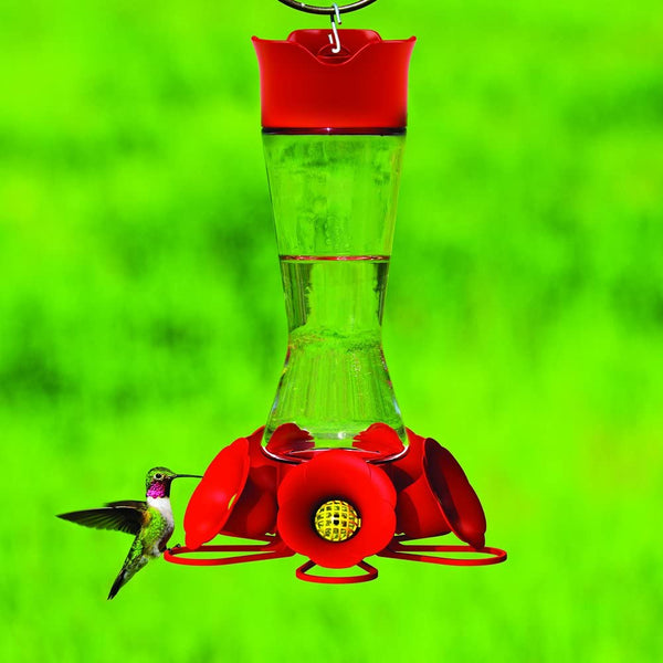 Perky Pet Hummingbird Pinch Waist Glass Feeder : 8oz