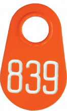 Bock's Pear Neck Tags - Numbered (1-3 Digits) : Orange w/ White Lettering