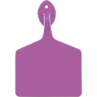 Allflex Global Light Purple Feedlot Blank Tags : 50ct