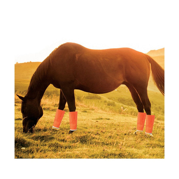 Shoofly Leggins Orange Medium 4ct