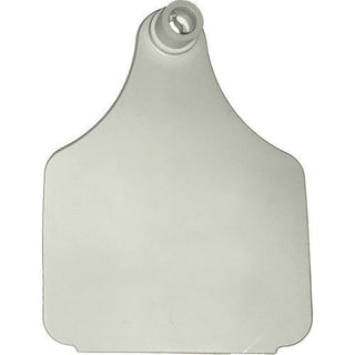 Ardes Blank XLarge Tags 25ct: White