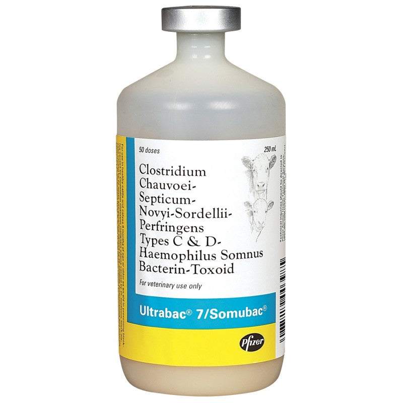 Ultrabac 7 Somubac 250ml : 50ds | Heritage Animal Health