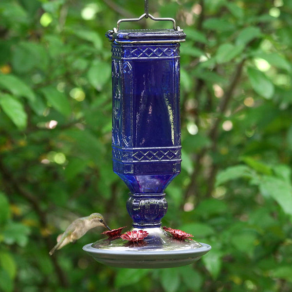 Perky Pet Hummingbird Antique Blue Glass Feeder: 16oz