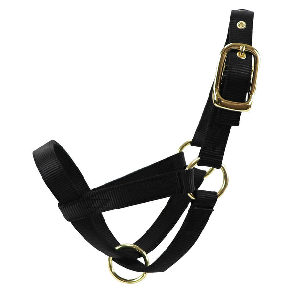 Bull Ialter Turn Out Halter : Cow Black | Heritage Animal Health