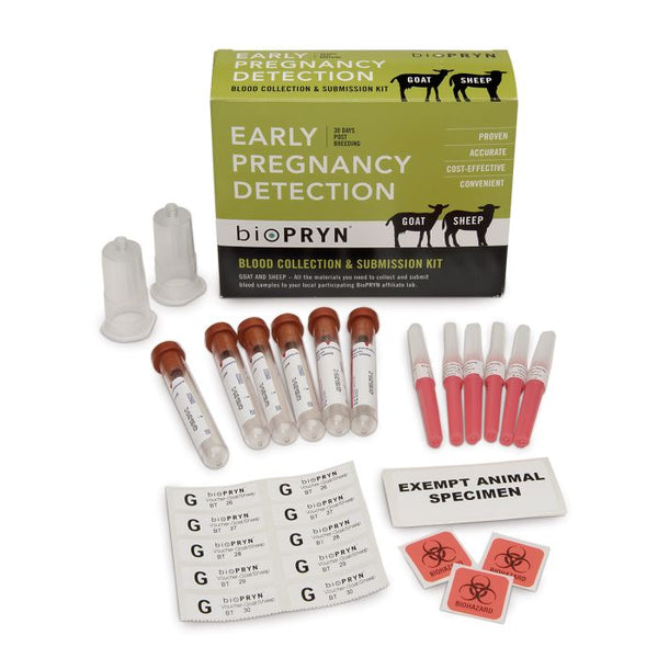 Biopryn Early Pregnancy Detection Kit : Goats & Sheep