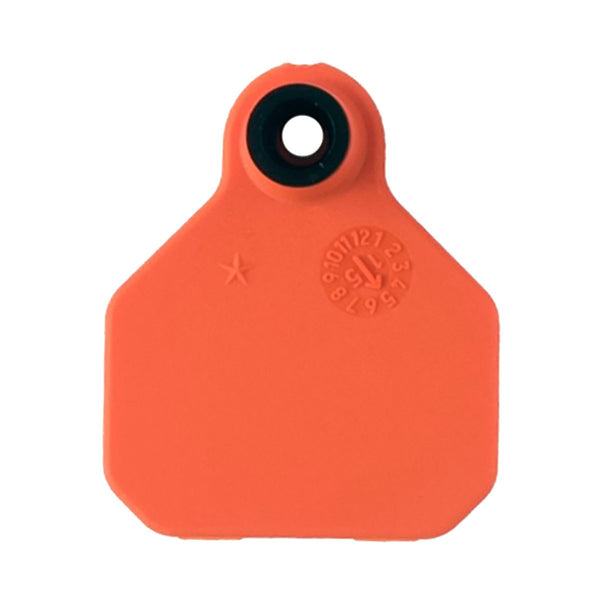 Y-tex Blank 1 Star Mini Orange Tags : 25ct