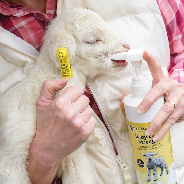 Baby Lamb Strength Oral : 16oz
