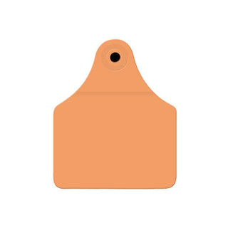 Allflex Global Blank Large Orange Tags MALE ONLY : 25ct