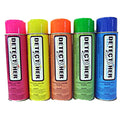 Detect-Her Spray Paint Upright 12oz : Fluorescent Orange