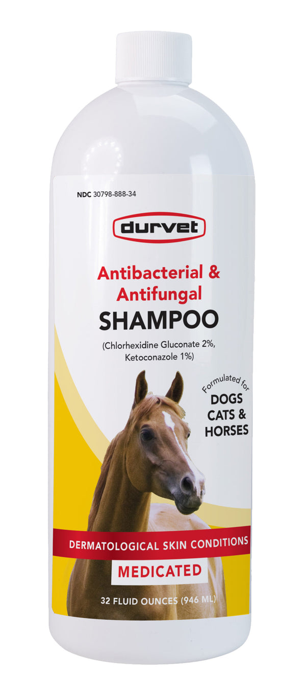 Durvet Medicated Antibacterial & Antifungal Shampoo : 32oz