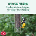 Perky Pet Finch Upside Down Feeder : Holds 2 lbs