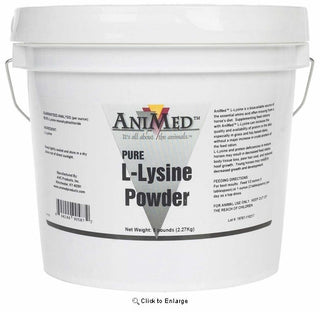Animed L-Lysine Powder: 5lb