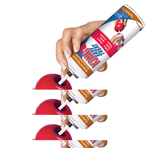 Kong Classic Red : Large