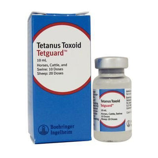 Tetguard Tetanus Toxoid : 10ml