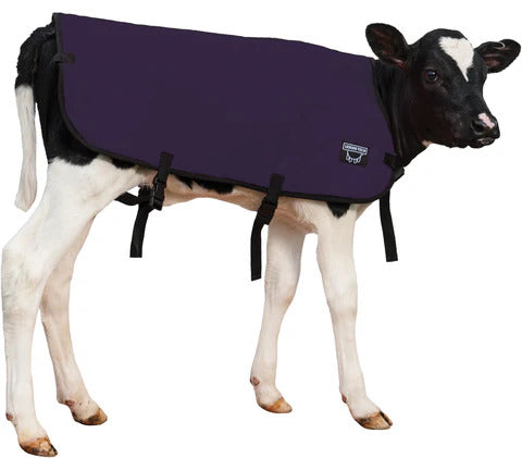 Udder Tech Double Insulated Calf Blanket Jacket Purple : Medium