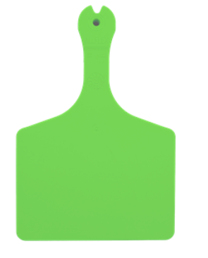 Allflex Global ATAG V2 Feedlot Blank Neon Green : 50ct