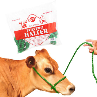 Cow Halter Polypro: Green