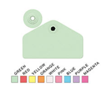 Allflex Global Hog Male w/ Female Buttons Blank Yellow : 25ct