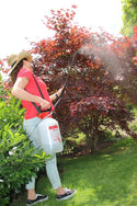 Solo 430 Series Sprayer :  4 Gal