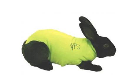 MPS Protect Shirt for Rabbit : Large