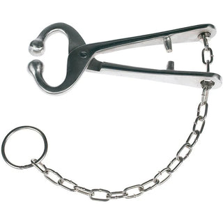 Nose Lead with Chain