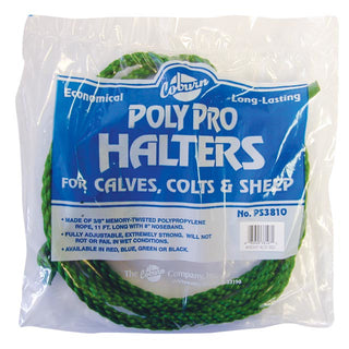 Polypro Calf  or Colt Halter : Green