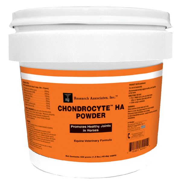 Chondrocyte HA Powder 550gm  : 45 Day