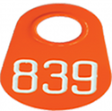 Bock's Pear Neck Tags - Numbered (1-3 Digits) : Orange w/ White Lettering