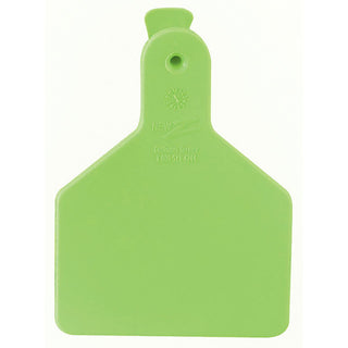 Z Tag No Snag Calf Blank : Tags -  Pack of 25 Chartreuse