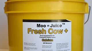 Moo Juice Fresh Cow : 48ct