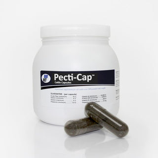 Bio-Vet Pecti-Cap Cattle Capsules : 40ct