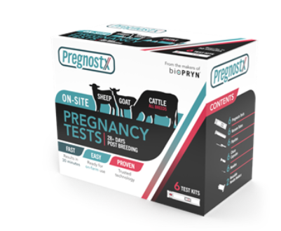 Pregnostx On-Site Pregnancy Tests : 6ct