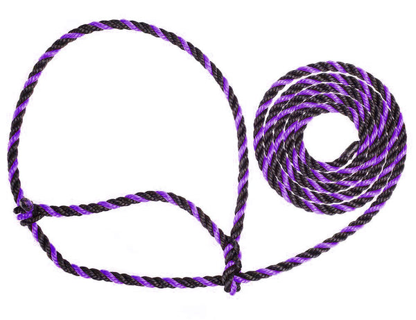 Rope Cattle Halter: Black with Purple Strand