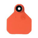 Y-tex Blank 1 Star Mini Orange Tags : 25ct