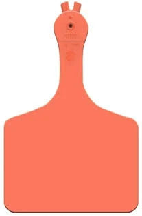 Allflex Global ATAG Feedlot Blank Dark Orange  : 50ct