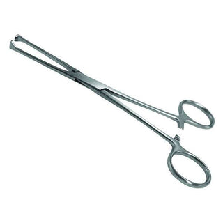 Allis Tissue Forcep J0080AW : 6 inches