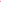 Allflex Global ATAG Feedlot Blank Dark Pink : 50ct