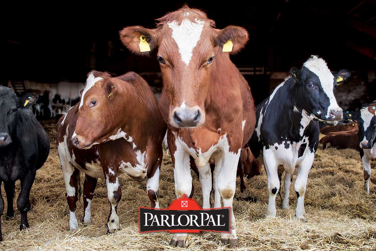 Parlor Pal : 50lb | Heritage Animal Health