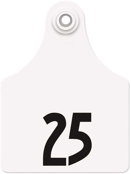 Allflex Global Maxi Female w/Males : White 176-200