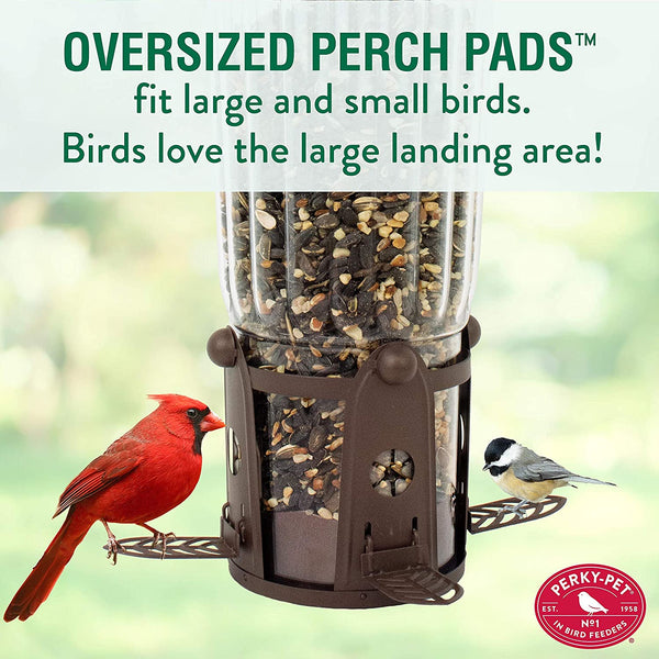 Perky Pet Wild Bird Squirrel B Gone Feeder : Holds 4 lbs