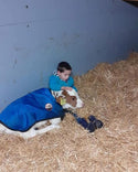 4-D AG Blue Calf Jacket : XL