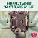 Perky Pet Wild Bird Squirrel B Gone Feeder : Holds 4 lbs