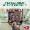 Perky Pet Wild Bird Squirrel B Gone Feeder : Holds 4 lbs
