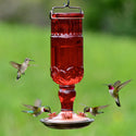 Perky Pet Hummingbird Antique Red Glass Feeder : 24oz