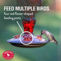 Perky Pet Hummingbird Antique Red Glass Feeder : 24oz