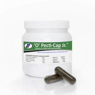 Biovet Pect-Cap JR : 50ct